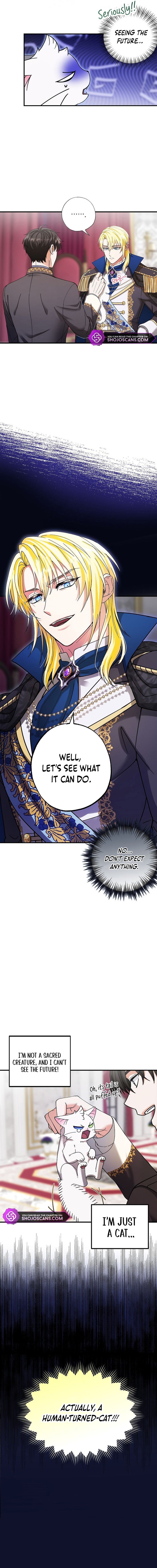 I Became the Emperor’s Cat Chapter 1 - Page 11