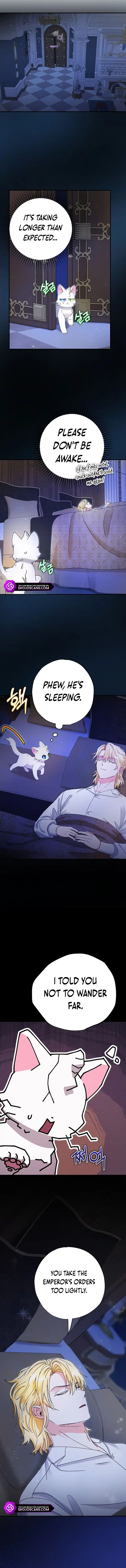 I Became the Emperor’s Cat Chapter 11 - Page 10