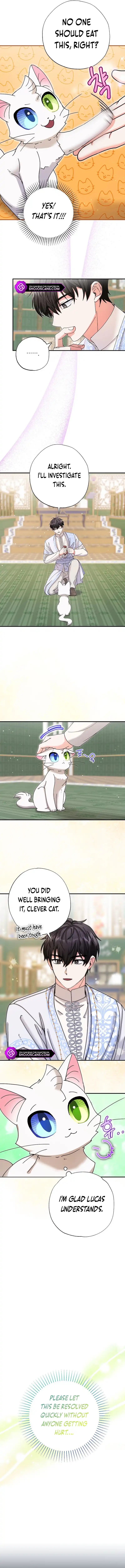 I Became the Emperor’s Cat Chapter 11 - Page 9