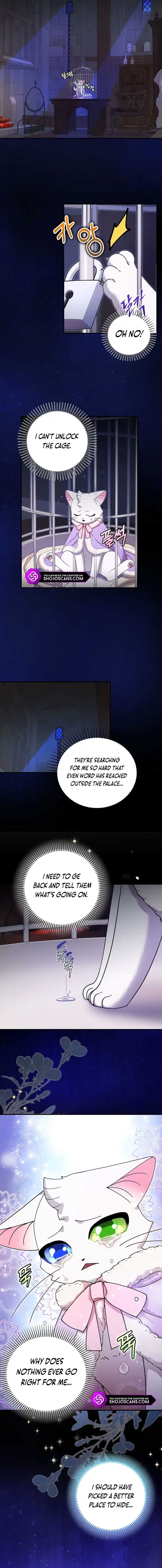 I Became the Emperor’s Cat Chapter 15 - Page 6