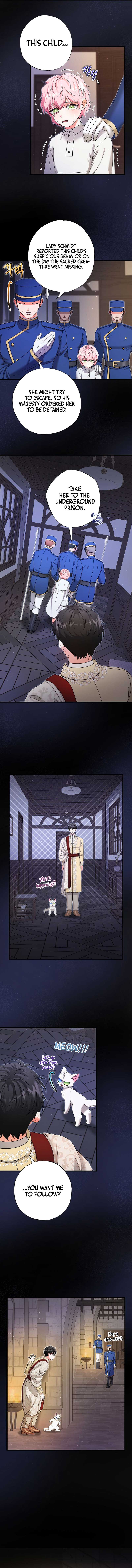 I Became the Emperor’s Cat Chapter 17 - Page 10
