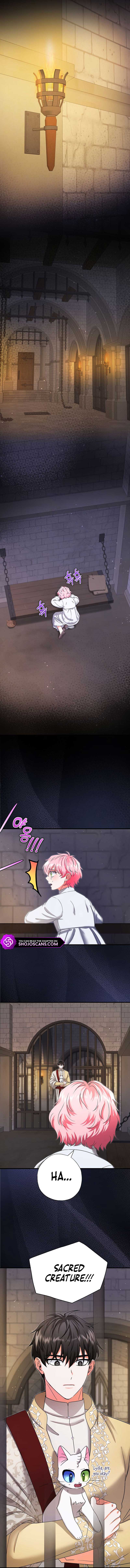 I Became the Emperor’s Cat Chapter 17 - Page 11