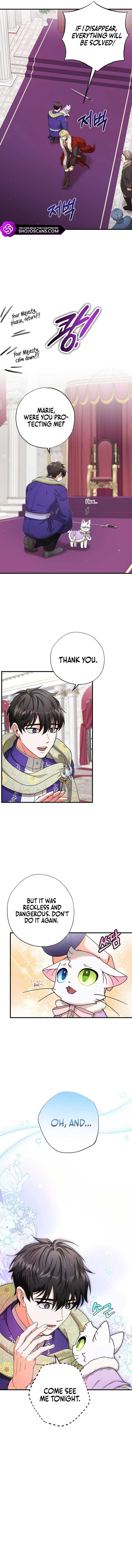 I Became the Emperor’s Cat Chapter 17 - Page 3
