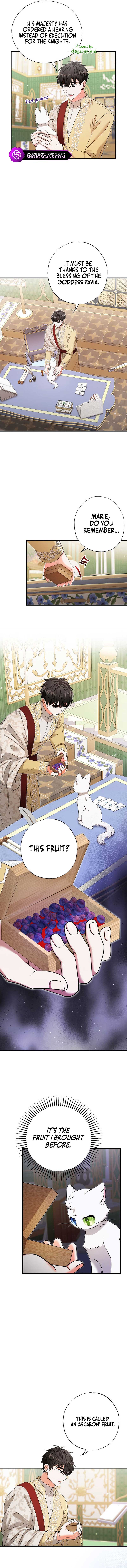 I Became the Emperor’s Cat Chapter 17 - Page 5