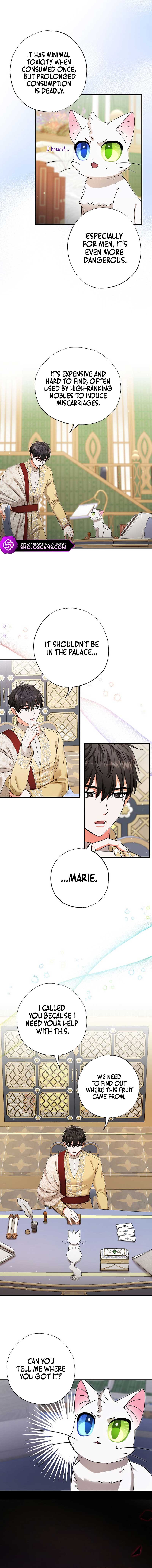 I Became the Emperor’s Cat Chapter 17 - Page 6