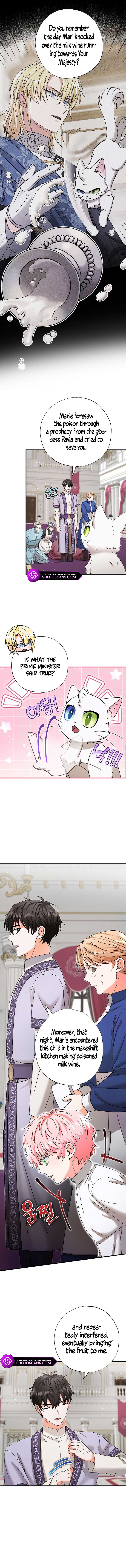 I Became the Emperor’s Cat Chapter 19 - Page 3