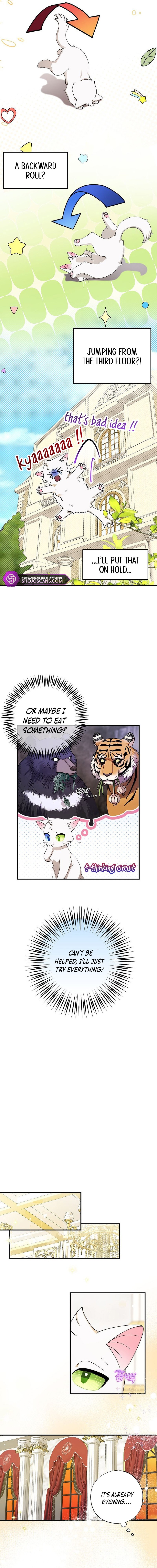 I Became the Emperor’s Cat Chapter 2 - Page 6