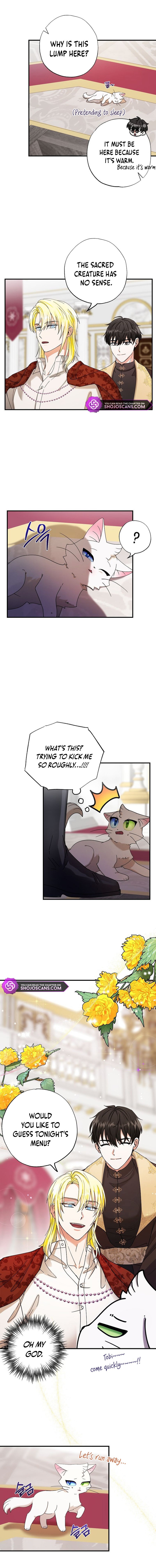 I Became the Emperor’s Cat Chapter 2 - Page 8
