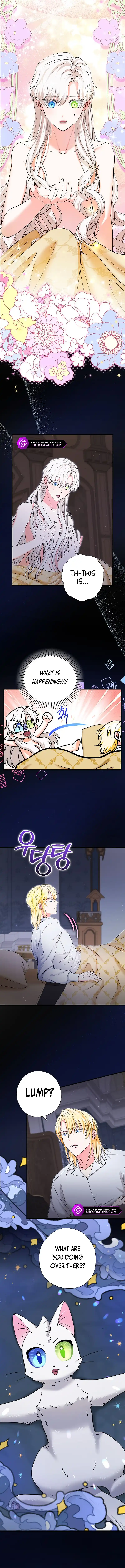 I Became the Emperor’s Cat Chapter 21 - Page 0