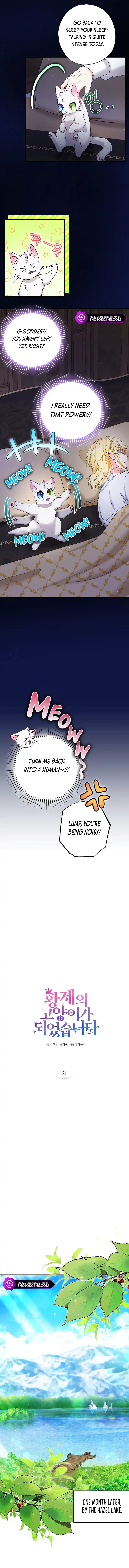 I Became the Emperor’s Cat Chapter 21 - Page 1