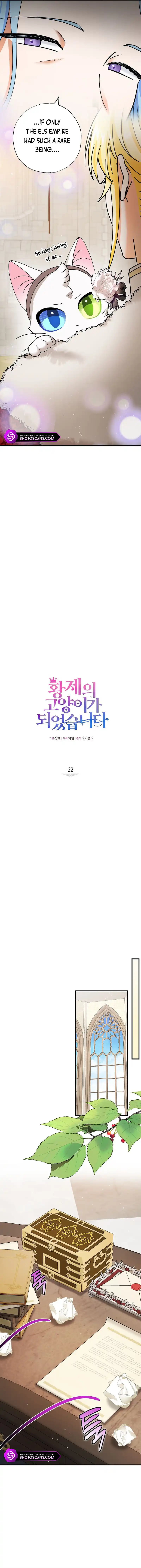 I Became the Emperor’s Cat Chapter 22 - Page 2