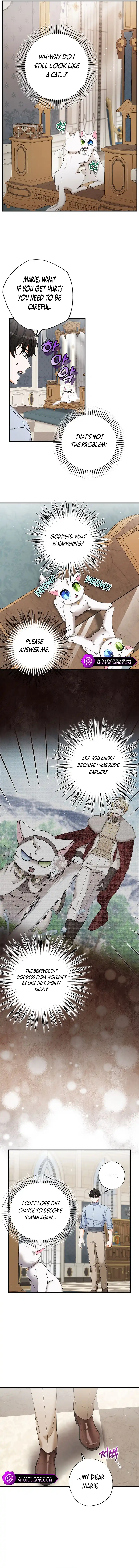 I Became the Emperor’s Cat Chapter 22 - Page 7