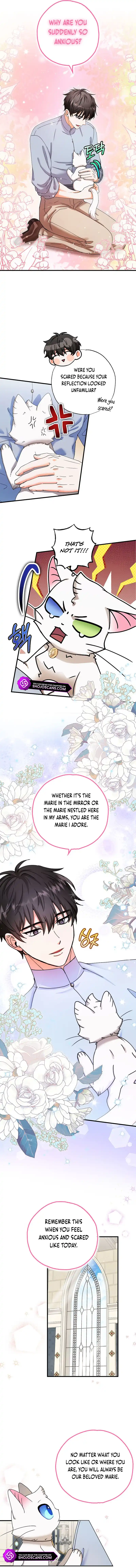 I Became the Emperor’s Cat Chapter 22 - Page 8