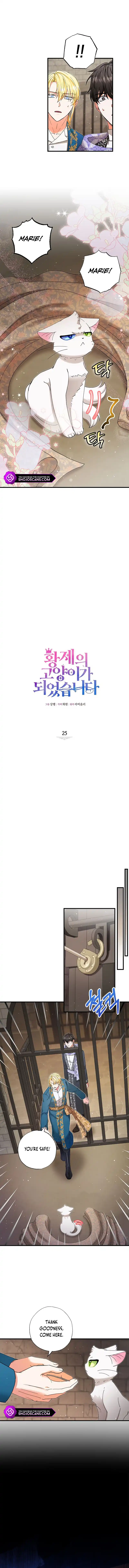 I Became the Emperor’s Cat Chapter 25 - Page 2