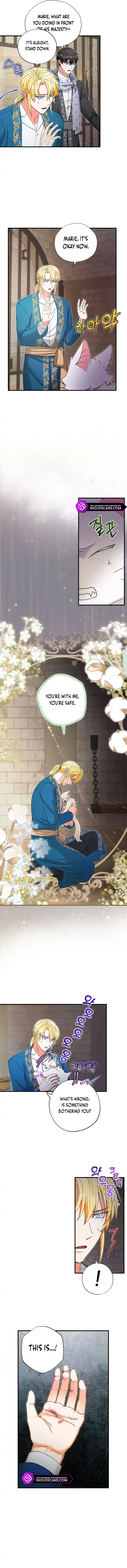 I Became the Emperor’s Cat Chapter 25 - Page 4