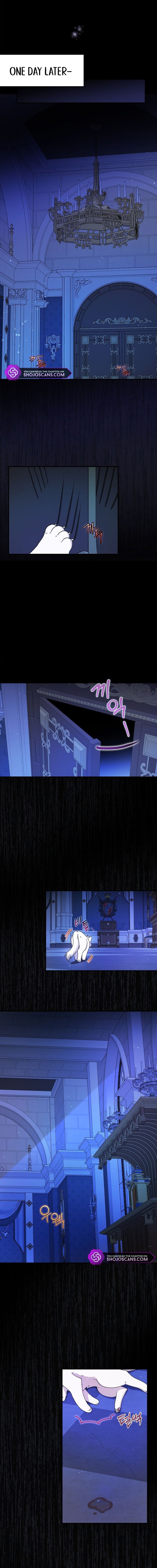 I Became the Emperor’s Cat Chapter 3 - Page 12