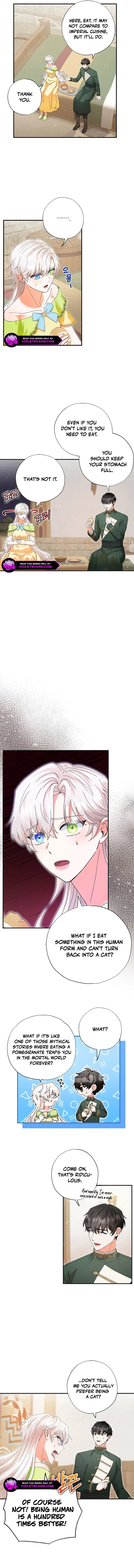 I Became the Emperor’s Cat Chapter 31 - Page 5