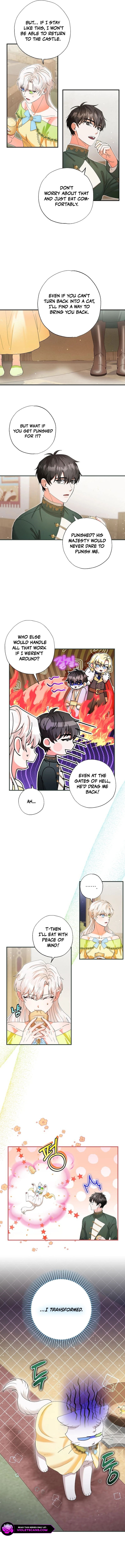 I Became the Emperor’s Cat Chapter 31 - Page 6