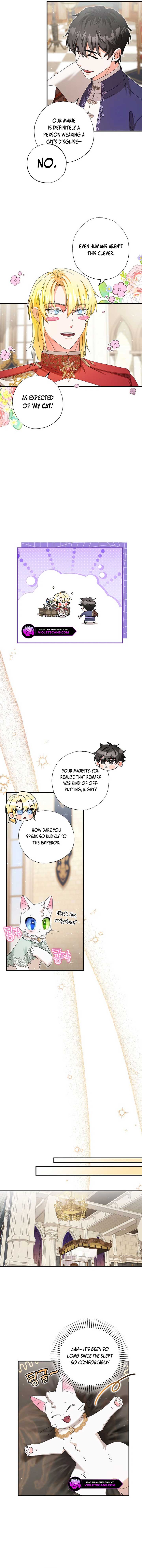 I Became the Emperor’s Cat Chapter 32 - Page 8