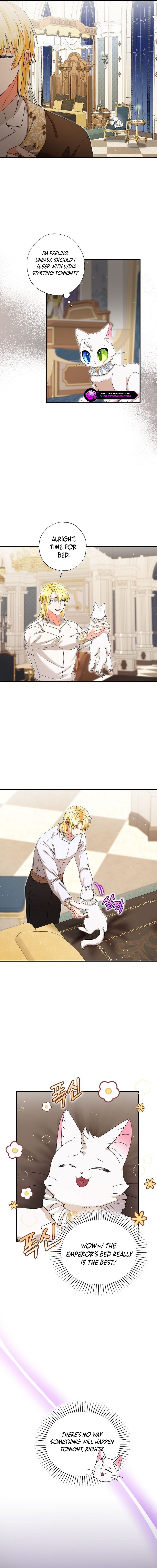 I Became the Emperor’s Cat Chapter 33 - Page 8