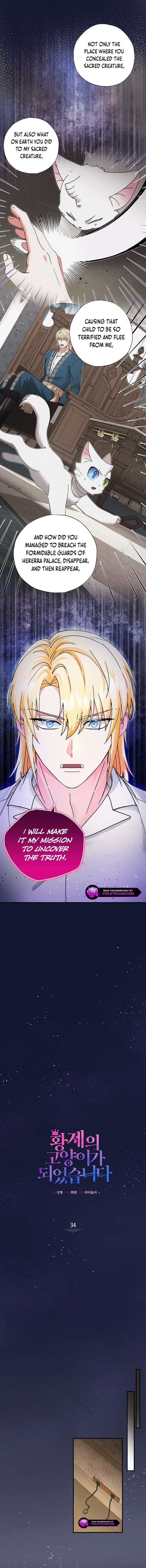 I Became the Emperor’s Cat Chapter 34 - Page 1