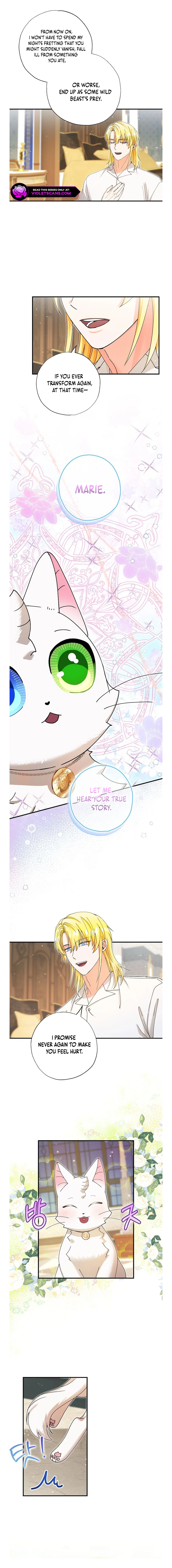 I Became the Emperor’s Cat Chapter 36 - Page 8