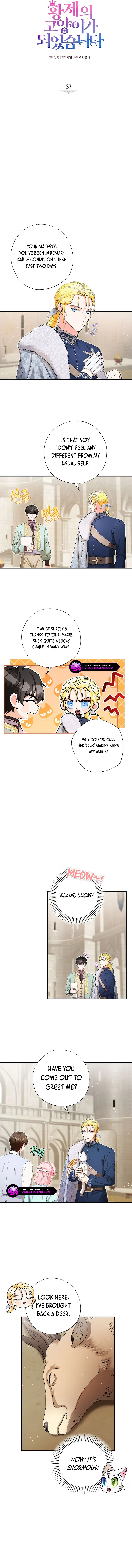 I Became the Emperor’s Cat Chapter 37 - Page 1