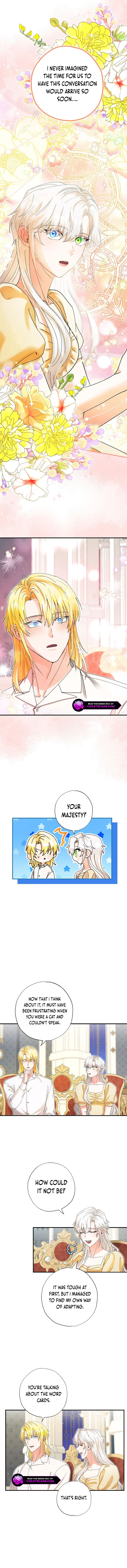 I Became the Emperor’s Cat Chapter 37 - Page 8