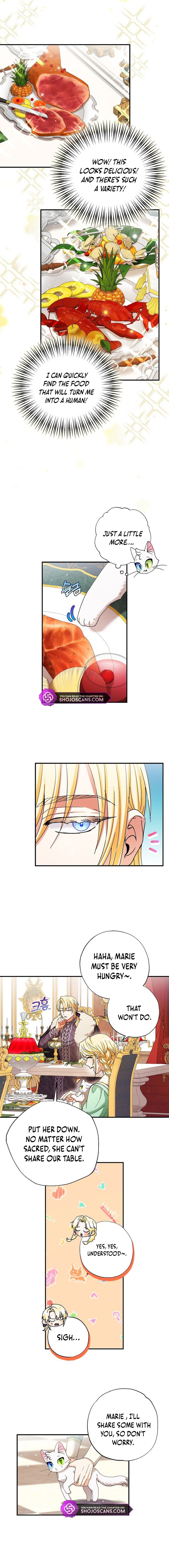 I Became the Emperor’s Cat Chapter 4 - Page 2
