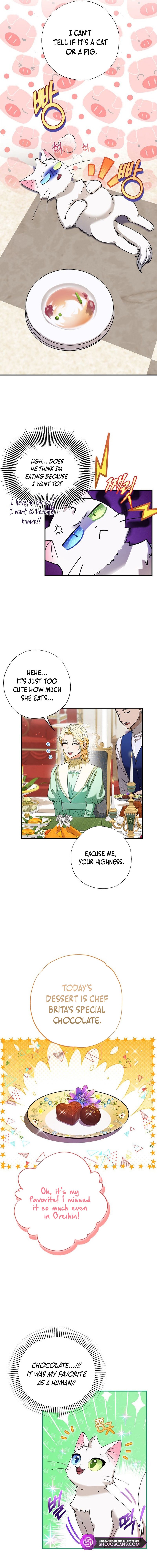 I Became the Emperor’s Cat Chapter 4 - Page 4