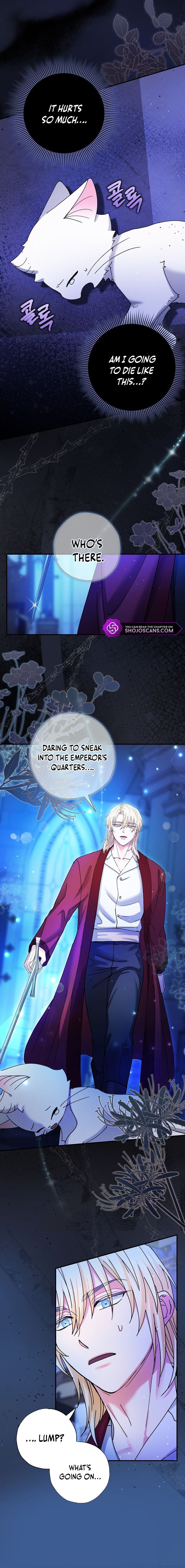 I Became the Emperor’s Cat Chapter 4 - Page 7