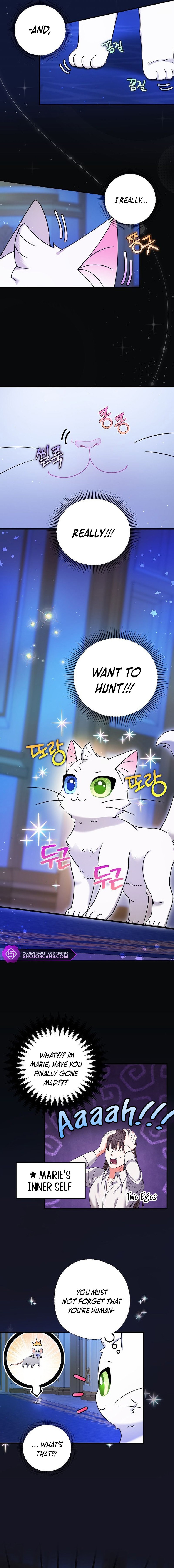 I Became the Emperor’s Cat Chapter 5 - Page 12