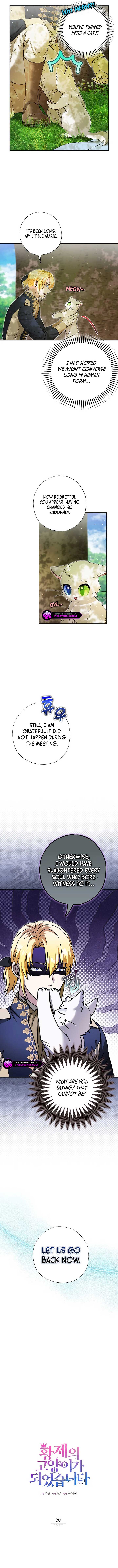I Became the Emperor’s Cat Chapter 50 - Page 5