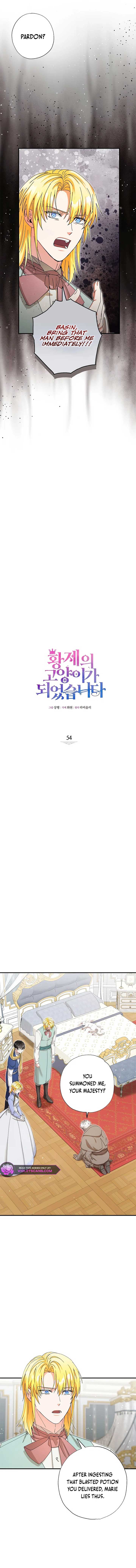 I Became the Emperor’s Cat Chapter 54 - Page 2
