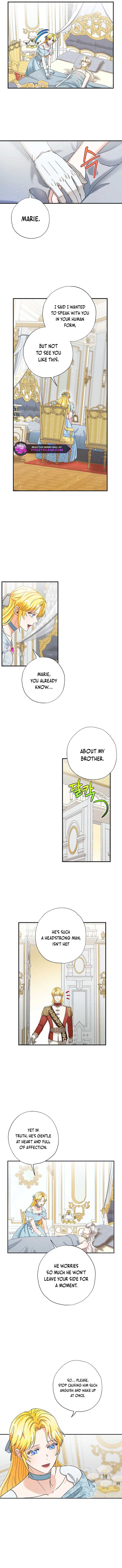I Became the Emperor’s Cat Chapter 55 - Page 5