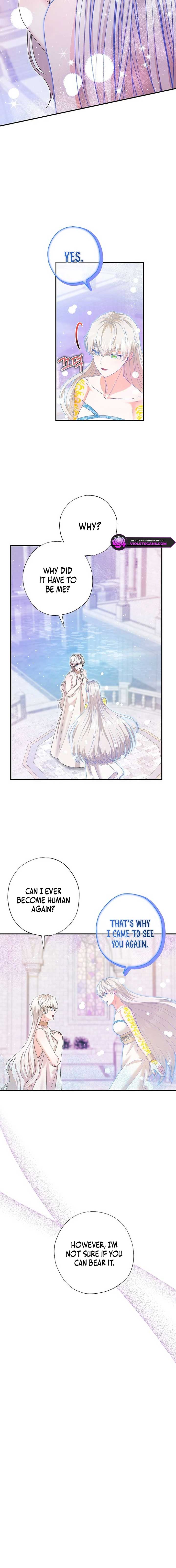 I Became the Emperor’s Cat Chapter 56 - Page 2