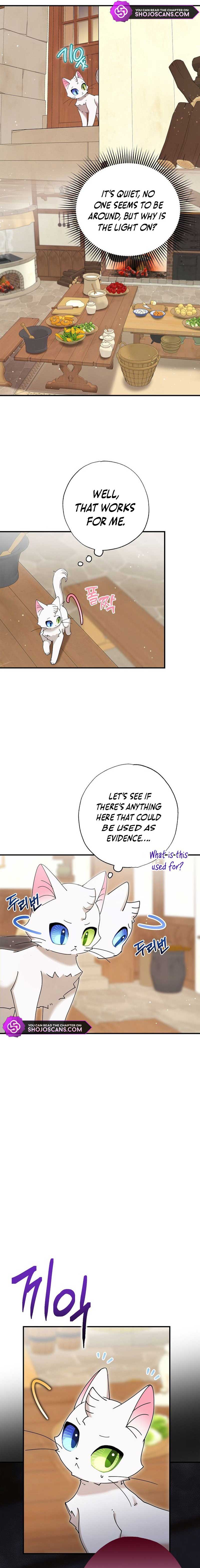 I Became the Emperor’s Cat Chapter 8 - Page 15