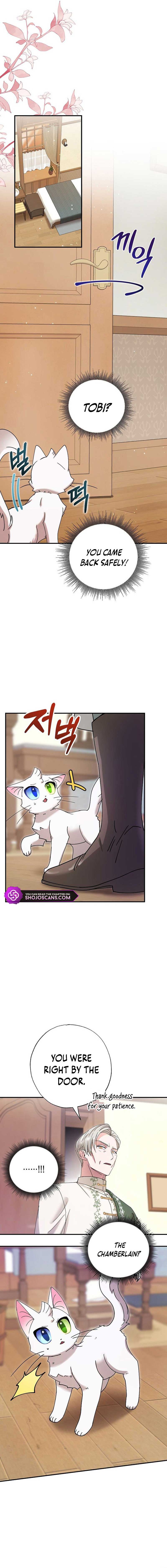 I Became the Emperor’s Cat Chapter 8 - Page 9