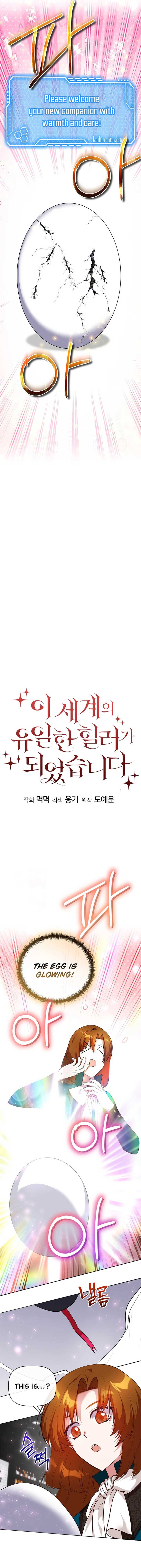 I Became the Only Healer in This World Chapter 53 - Page 3