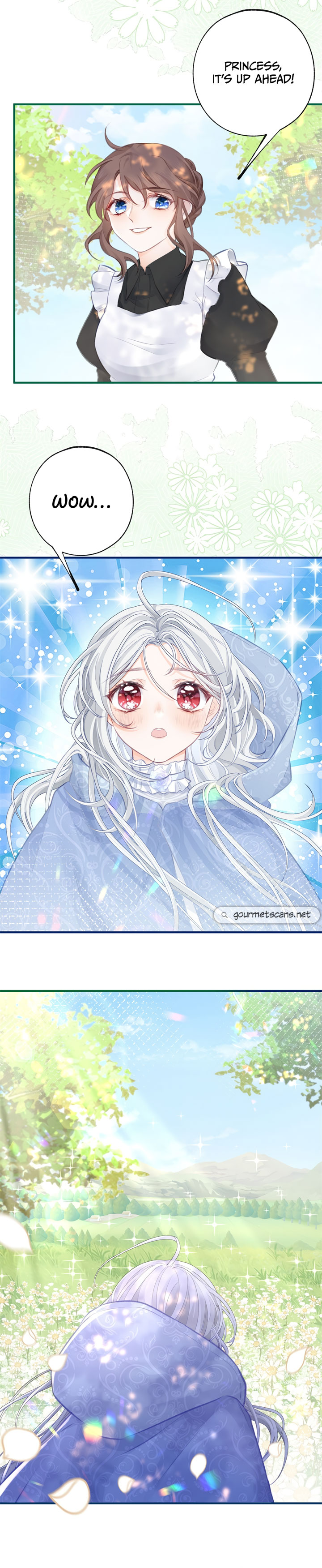 I Became the Sacrificial Princess Chapter 16 - Page 10