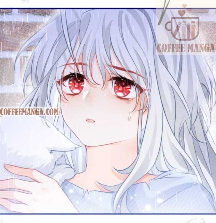 I Became the Sacrificial Princess Chapter 6 - Page 12