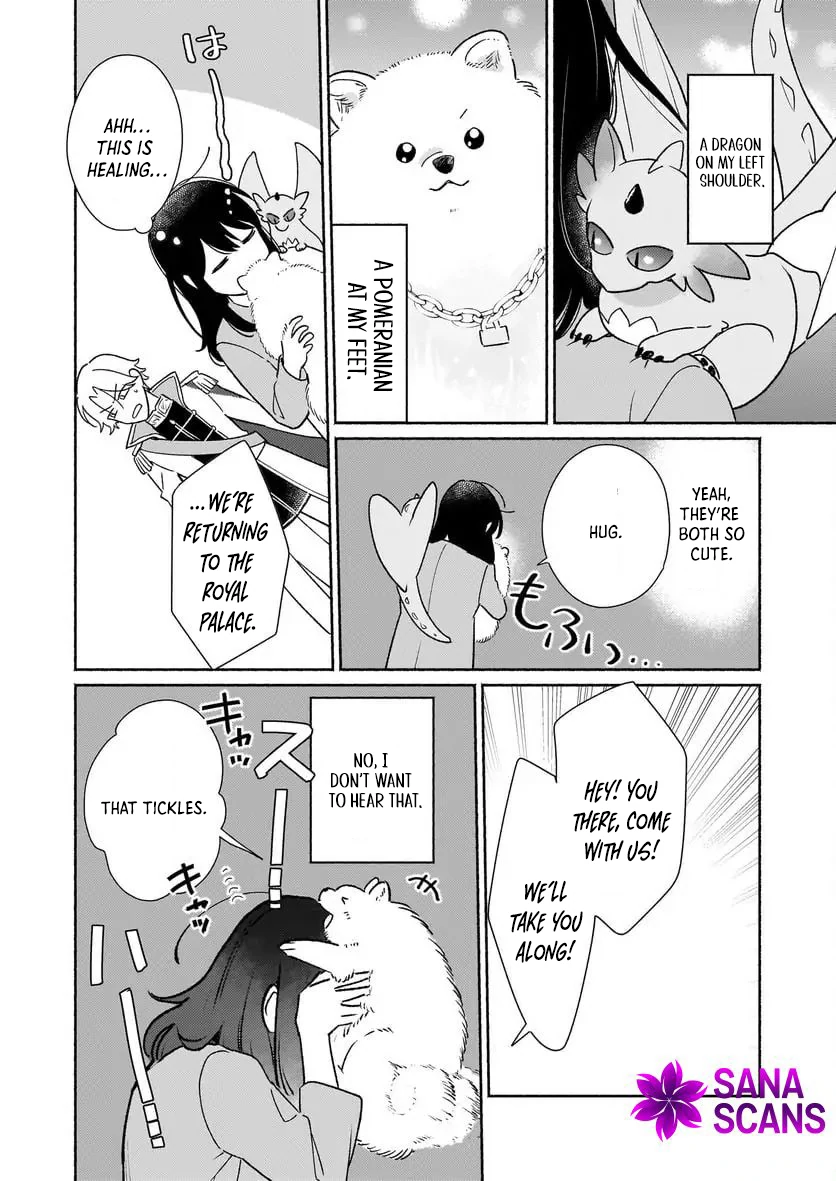 I Can Turn Monsters into Pets, They’re Cute but Crazy Strong! Chapter 2 - Page 25