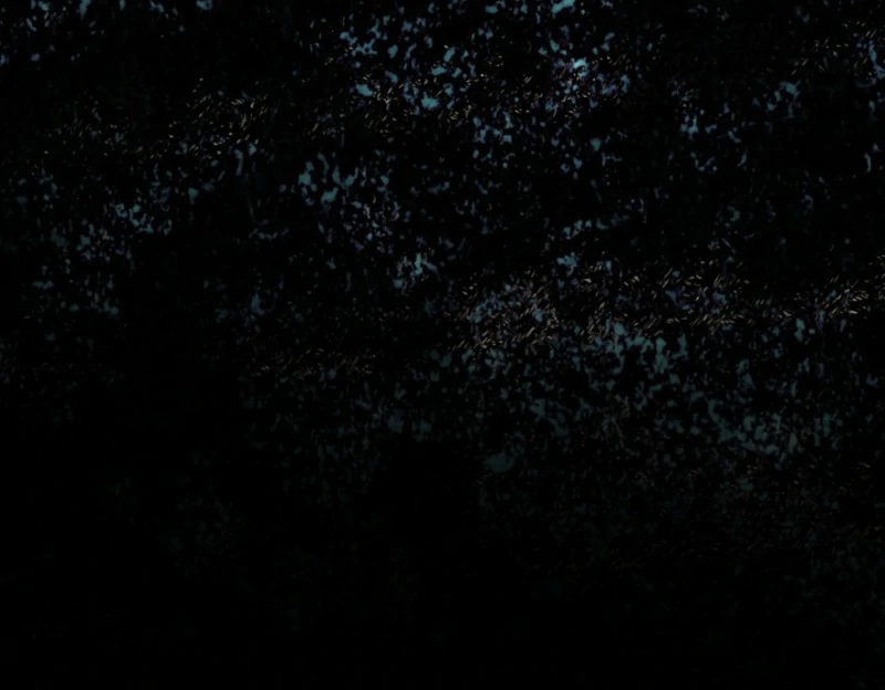 I Hate This Kind of Reverse Harem Chapter 32 - Page 29