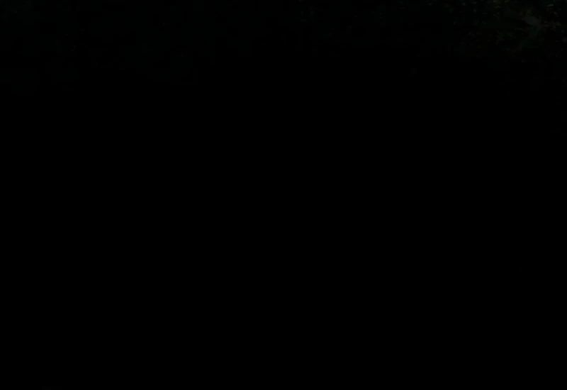 I Hate This Kind of Reverse Harem Chapter 33 - Page 12