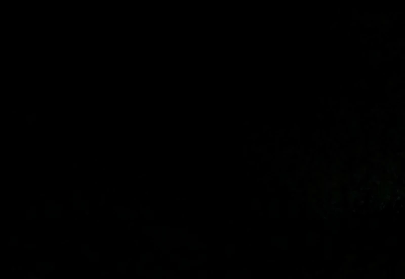 I Hate This Kind of Reverse Harem Chapter 33 - Page 23