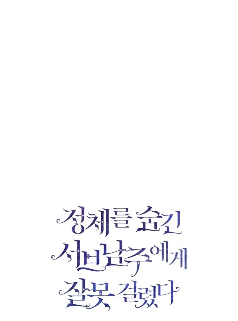 I Mistook the Hidden Identity of the Sub Male Lead Chapter 93 - Page 31