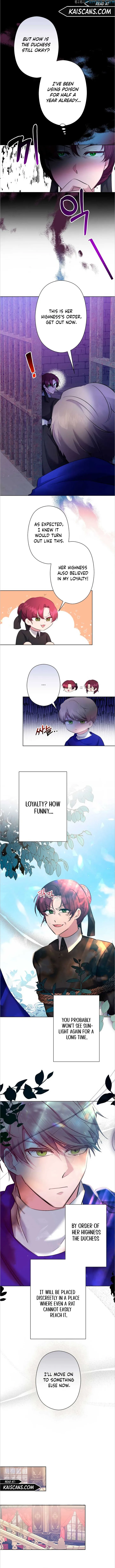 I Need to Raise My Sister Properly Chapter 5 - Page 8