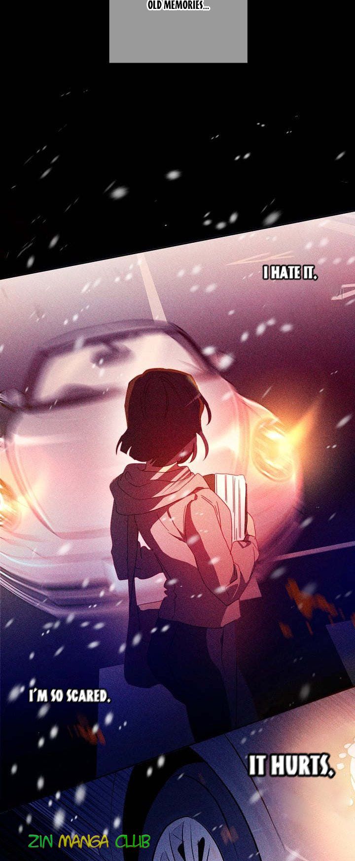 I Raised an Obsessive Servant Chapter 45.5 - Page 11