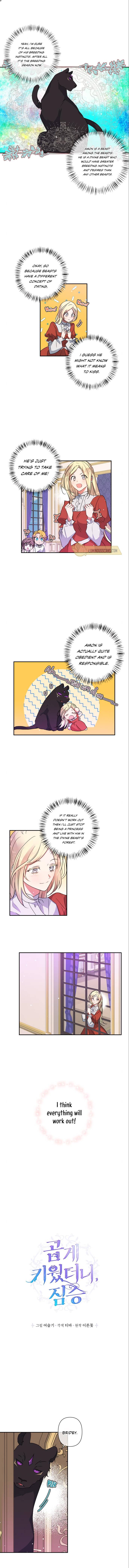 I Raised the Beast Well Chapter 36 - Page 1