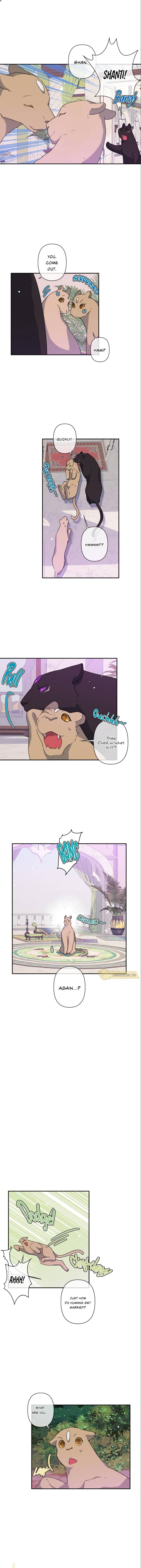 I Raised the Beast Well Chapter 37 - Page 3